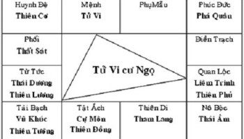 Tu-vi-giai-doan-va-cach-lay-la-so-tu-vi-7