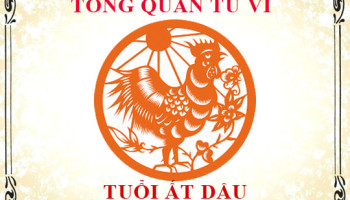 Tu-vi-tuoi-At-Dau-2005-Tong-quan-ve-van-menh-tinh-yeu-su-nghiep-3545