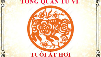 Tu-vi-tuoi-At-Hoi-1995-Tong-quan-ve-van-menh-tinh-yeu-su-nghiep-3449