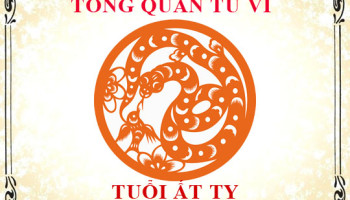 Tu-vi-tuoi-At-Ty-1965-Tong-quan-ve-van-menh-tinh-yeu-su-nghiep-3672