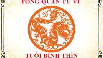 Tu-vi-tuoi-Binh-Thin-Tong-quan-ve-van-menh-tinh-yeu-su-nghiep-3290