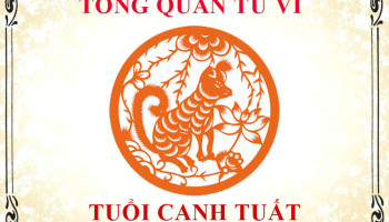 Tu-vi-tuoi-Canh-Tuat-Tong-quan-ve-van-menh-tinh-yeu-su-nghiep-3240