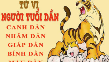 Tu-vi-tuoi-Dan-Tong-quan-van-menh-va-cuoc-doi-3861