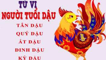 Tu-vi-tuoi-Dau-Tong-quan-van-menh-va-cuoc-doi-3926