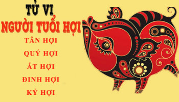 Tu-vi-tuoi-Hoi-Tong-quan-van-menh-va-cuoc-doi-3945