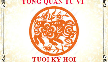 Tu-vi-tuoi-Ky-Hoi-2019-Tong-quan-ve-van-menh-tinh-yeu-su-nghiep-3787