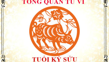 Tu-vi-tuoi-Ky-Suu-2009-Tong-quan-ve-van-menh-tinh-yeu-su-nghiep-3593