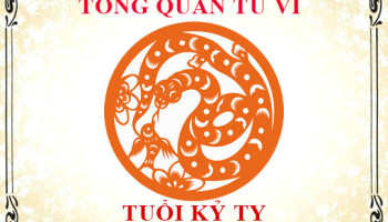 Tu-vi-tuoi-Ky-Ty-1989-Tong-quan-ve-van-menh-tinh-yeu-su-nghiep-3393