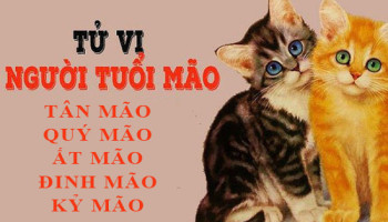 Tu-vi-tuoi-Mao-Tong-quan-van-menh-va-cuoc-doi-3870