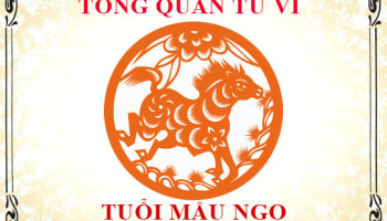 Tu-vi-tuoi-Mau-Ngo-Tong-quan-ve-van-menh-tinh-yeu-su-nghiep-3308