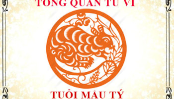 Tu-vi-tuoi-Mau-Ty-2008-Tong-quan-ve-van-menh-tinh-yeu-su-nghiep-3576