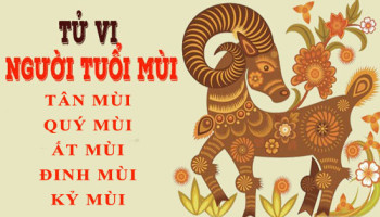 Tu-vi-tuoi-Mui-Tong-quan-van-menh-va-cuoc-doi-3907
