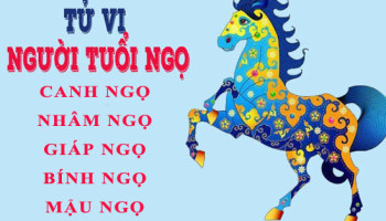 Tu-vi-tuoi-Ngo-Tong-quan-van-menh-va-cuoc-doi-3898
