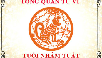 Tu-vi-tuoi-Nham-Tuat-Tong-quan-ve-van-menh-tinh-yeu-su-nghiep-3339