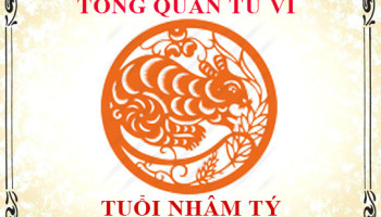 Tu-vi-tuoi-Nham-Ty-Tong-quan-ve-van-menh-tinh-yeu-su-nghiep-3253