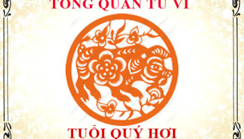 Tu-vi-tuoi-Quy-Hoi-Tong-quan-ve-van-menh-tinh-yeu-su-nghiep-3347