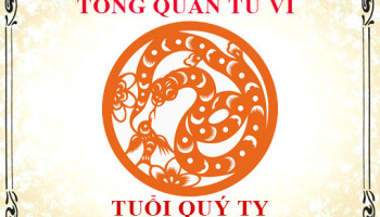 Tu-vi-tuoi-Quy-Ty-2013-Tong-quan-ve-van-menh-tinh-yeu-su-nghiep-3732