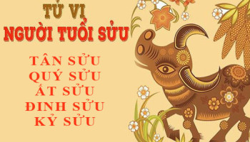 Tu-vi-tuoi-Suu-Tong-quan-van-menh-va-cuoc-doi-3850