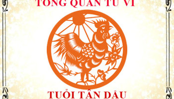 Tu-vi-tuoi-Tan-Dau-Tong-quan-ve-van-menh-tinh-yeu-su-nghiep-3330