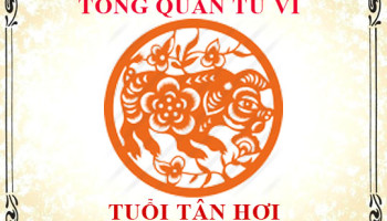 Tu-vi-tuoi-Tan-Hoi-Tong-quan-ve-van-menh-tinh-yeu-su-nghiep-3248