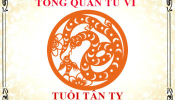 Tu-vi-tuoi-Tan-Ty-2001-Tong-quan-ve-van-menh-tinh-yeu-su-nghiep-3507