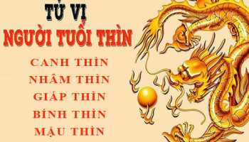 Tu-vi-tuoi-Thin-Tong-quan-van-menh-va-cuoc-doi-3879