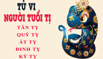 Tu-vi-tuoi-Ti-Tong-quan-van-menh-va-cuoc-doi-3888