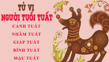 Tu-vi-tuoi-Tuat-Tong-quan-van-menh-va-cuoc-doi-3936