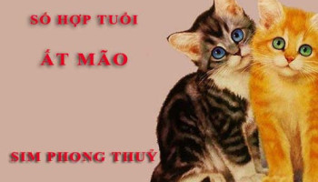 Tuoi-At-Mao-hop-voi-so-nao-theo-phong-thuy-chon-sim-phong-thuy-4597