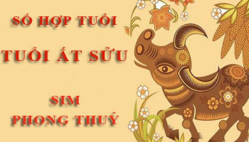 Tuoi-At-Suu-hop-voi-so-nao-theo-phong-thuy-chon-sim-phong-thuy-4554