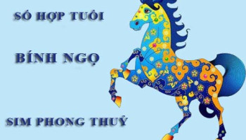 Tuoi-Binh-Ngo-hop-voi-so-nao-theo-phong-thuy-4654