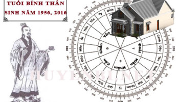 Tuoi-Binh-Than-hop-huong-nao-lam-nha-huong-nao-theo-phong-thuy-4752