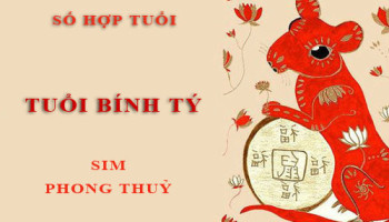 Tuoi-Binh-Ty-hop-voi-so-nao-theo-phong-thuy-chon-sim-phong-thuy-4547