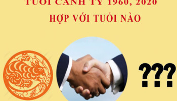 Tuoi-Canh-Ty-hop-voi-tuoi-nao-4229