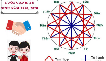 Tuoi-Canh-Ty-hop-voi-tuoi-nao-trong-lam-an-tinh-yeu-va-hon-nhan-4685