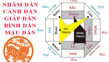Tuoi-Dan-hop-huong-nao-3849