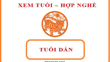 Tuoi-Dan-hop-voi-nghe-gi-va-huong-nao-theo-phong-thuy-4162