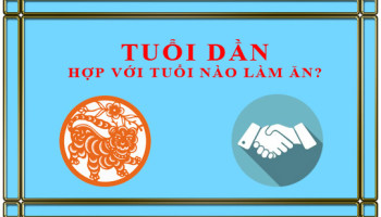 Tuoi-Dan-ket-hop-lam-an-voi-tuoi-nao-de-thanh-cong-2246