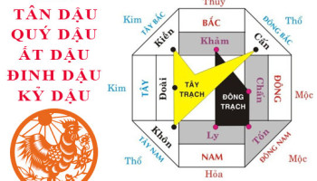 Tuoi-Dau-hop-huong-nao-3915