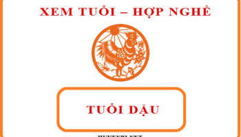Tuoi-Dau-hop-voi-nghe-gi-va-huong-nao-theo-phong-thuy-4211