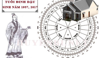 Tuoi-Dinh-Dau-hop-huong-nao-lam-nha-huong-nao-theo-phong-thuy-4764