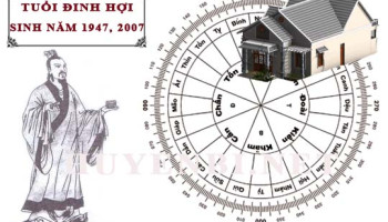 Tuoi-Dinh-Hoi-hop-huong-nao-lam-nha-huong-nao-theo-phong-thuy-4651