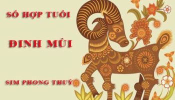 Tuoi-Dinh-Mui-hop-voi-so-nao-theo-phong-thuy-4653