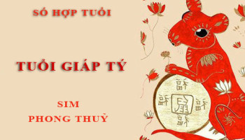 Tuoi-Giap-Ty-hop-voi-so-nao-theo-phong-thuy-chon-sim-phong-thuy-4540