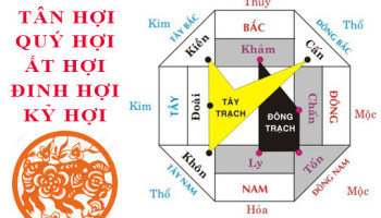 Tuoi-Hoi-hop-huong-nao-3935