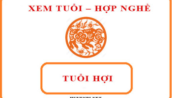 Tuoi-Hoi-hop-voi-nghe-gi-va-huong-nao-theo-phong-thuy-4223