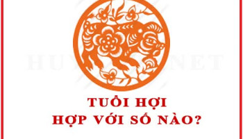 Tuoi-Hoi-hop-voi-so-nao-theo-phong-thuy-4662