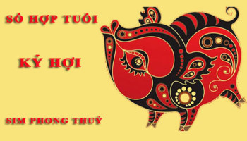 Tuoi-Ky-Hoi-hop-voi-so-nao-theo-phong-thuy-chon-sim-phong-thuy-4720