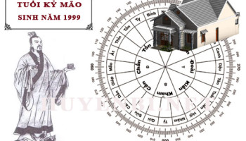 Tuoi-Ky-Mao-hop-huong-nao-lam-nha-huong-nao-theo-phong-thuy-4587