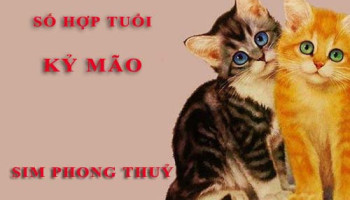 Tuoi-Ky-Mao-hop-voi-so-nao-theo-phong-thuy-chon-sim-phong-thuy-4580